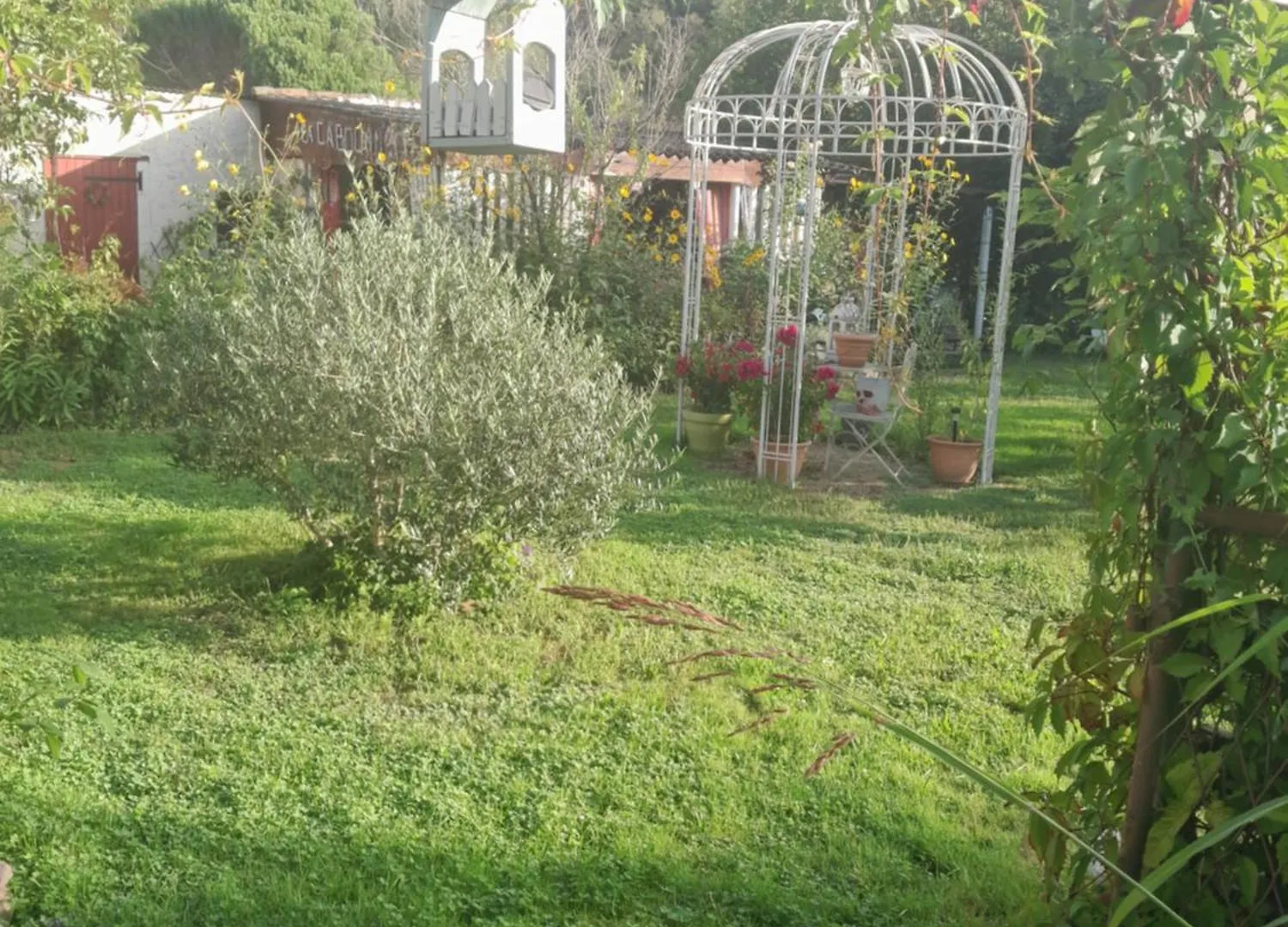Chambre D'Hote Amitie Et Jardin Carmaux