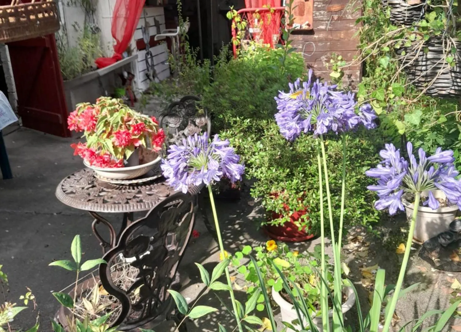Chambre D'Hote Amitie Et Jardin Carmaux 法国