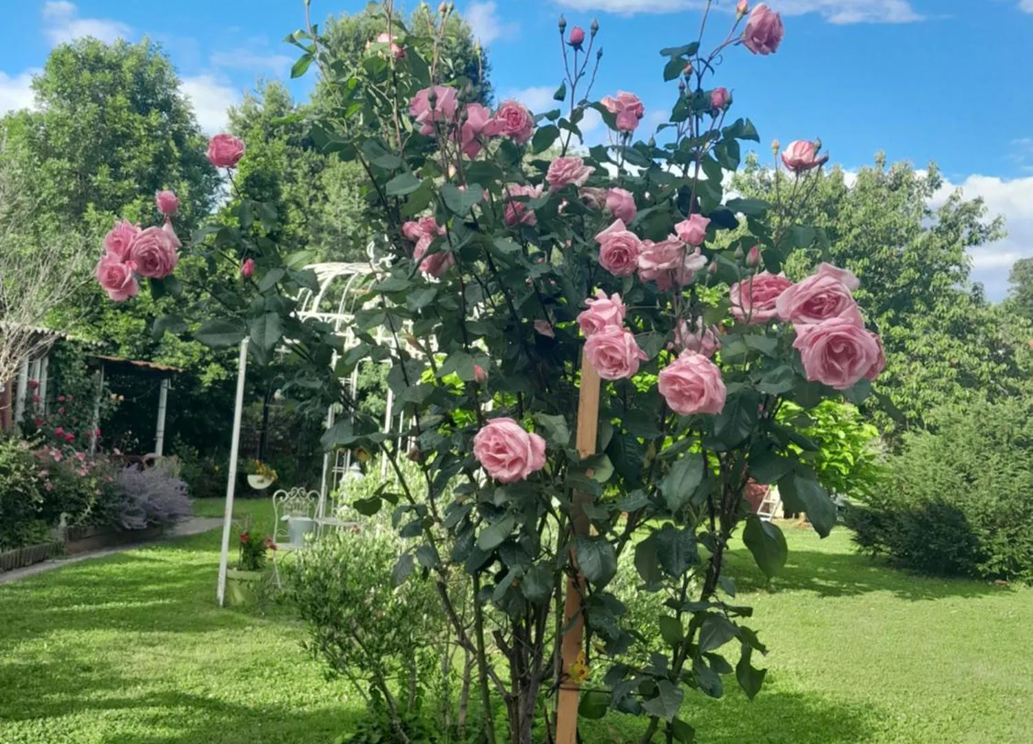 Chambre D'Hote Amitie Et Jardin Carmaux 0*,  法国